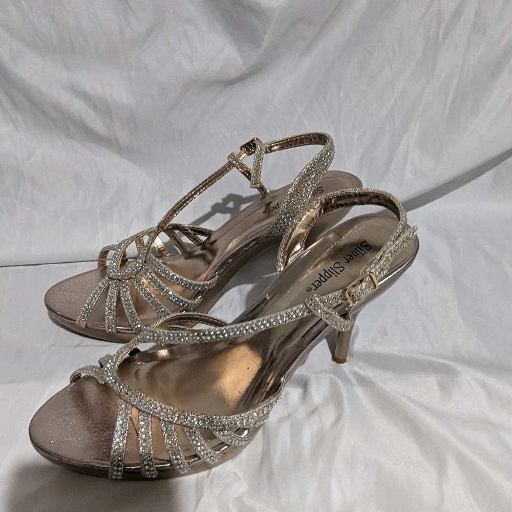 Silver slipper